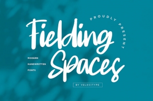 Fielding Spaces- Handwritten Script fonts Font Download