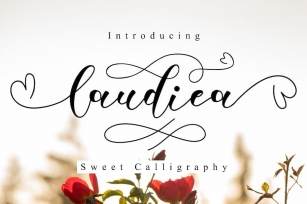 Laudiea - A Lovely Script Font Font Download