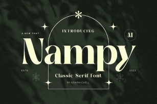 Nampy Elegant Serif Font Typeface Font Download