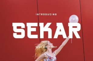 Sekar - Sans Serif Font Font Download