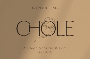 Modern Clean Sans Serif Font Font Download