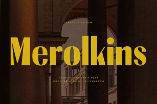 Merolkins Modern Sans Serif Font Font Download