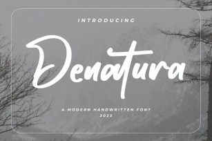 Denatura - Bold Script Font Font Download