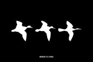 Birds Flying Font Download