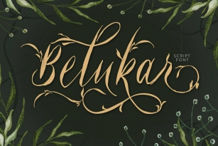 Belukar Font Download