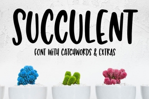 Succulent Font Download