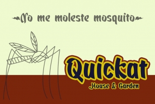 Quickat Font Download