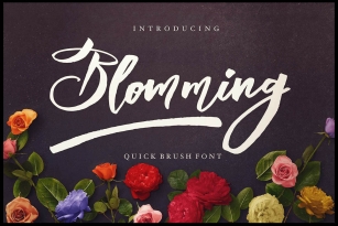 Blomming Font Download