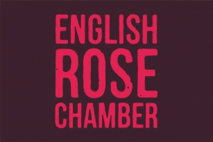 Mocha Mattari Font Download