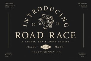 Road Race and Extras Font Download