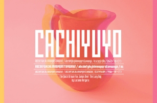Cachiyuyo Font Download