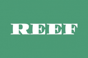 Filmotype Reef Font Download