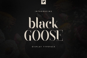 Black Goose Font Download