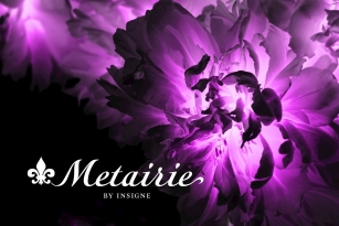 Metairie Font Download