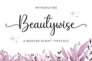 Beautywise - A Modern Script Typeface Font Download