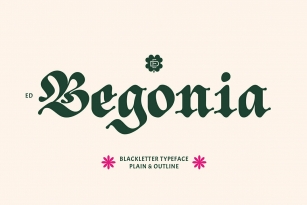 ED Begonia Font Download
