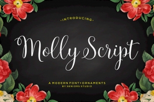 Molly Font Download