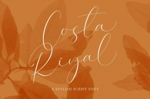 Costa Riyal Font Download