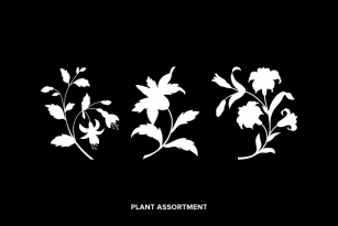 Plant Assortment Font Download