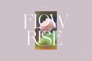 FLOWRISE Font Download