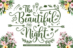 The Beautiful Night Font Download