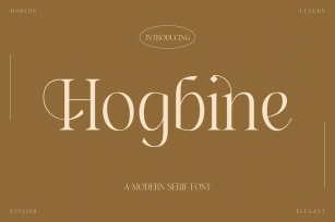 Hogbine A Modern Serif Font Font Download