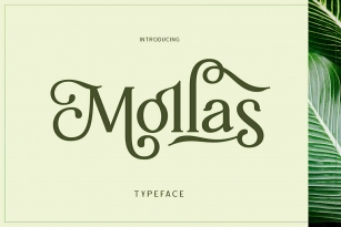 Mollas Font Download