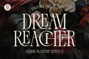 Dream Reacher Font Download