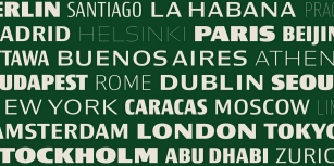 Newbery Sans Pro Font Download