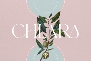 Chlara Typeface Font Download
