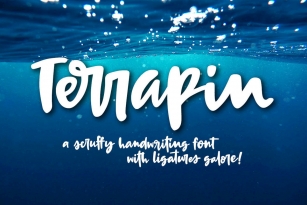 Terrapin Font Download