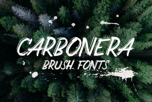 Carbonera Font Download