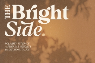 Polarity Font Download