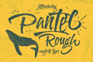 Pantel Rough Font Font Download