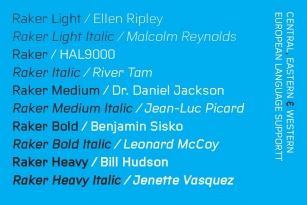 Raker Font Font Download