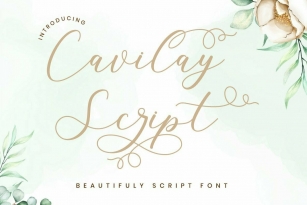 Cavilay Script Font Font Download
