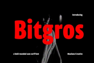 Bitgros Font Font Download