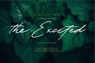 The Excited Font Font Download