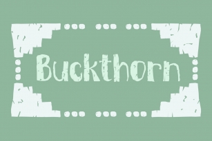 Buckthorn Font Font Download