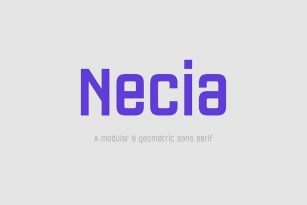 Necia Font Font Download