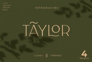 Taylor Typeface Font Font Download
