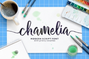 Chamelia Font Font Download