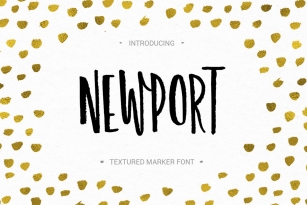 Newport Font Font Download