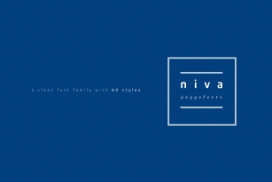 Niva Font Font Download