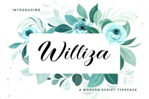 Williza - A Modern Script Typeface Font Download