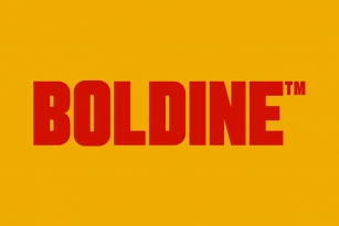 Boldine Font Font Download