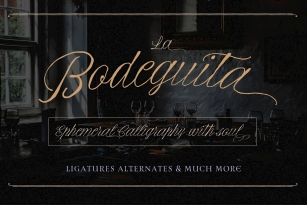 La Bodeguita Font Font Download