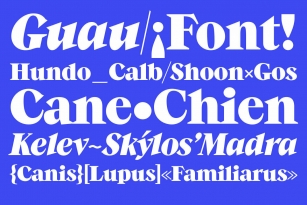 Guau Font Font Download