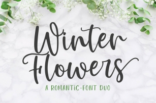 Winter Flowers Duo Font Download