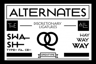 Estilo Pro Font Font Download